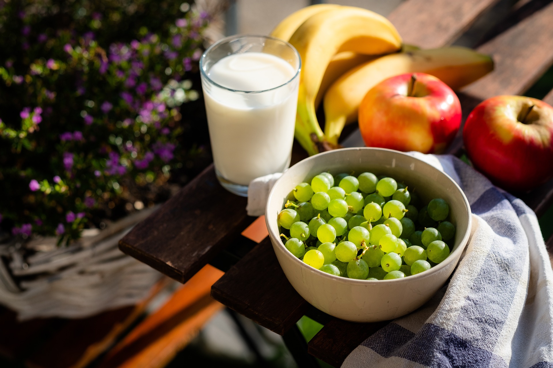 Glucose Wellness